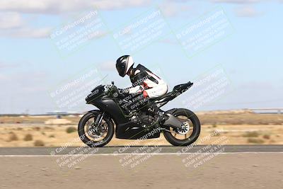 media/Nov-03-2024-TrackDaz (Sun) [[44580f4982]]/B Group/1220pm (Wheelie Bump)/